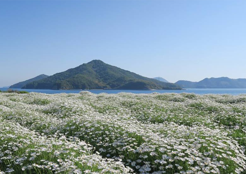 香川県三豊市/道の駅ふれあいパークみの周辺観光フラワーパーク浦島