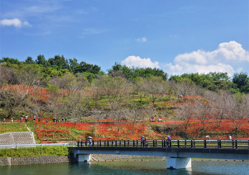 香川県三豊市/道の駅ふれあいパークみの周辺観光/光宝山湖公園