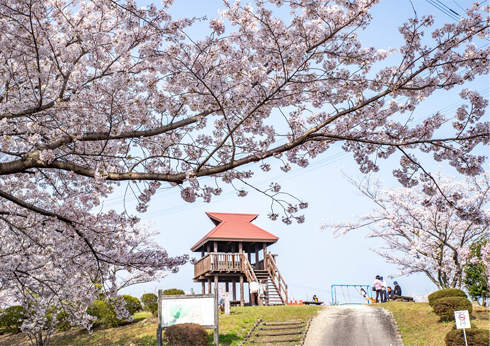 香川県三豊市/道の駅ふれあいパークみの周辺観光/塔重山公園