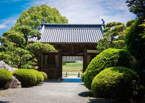 香川県三豊市/道の駅ふれあいパークみの周辺観光/大興寺
