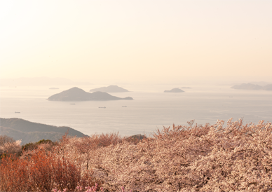 香川県三豊市ふれあいパークみの/周辺観光/紫雲出山